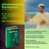 Alinhamento Sistêmico
